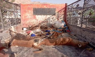 news_20260720_08.jpg